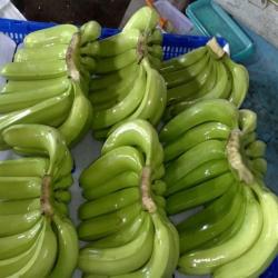 cavendish banana fresh and green купить оптом