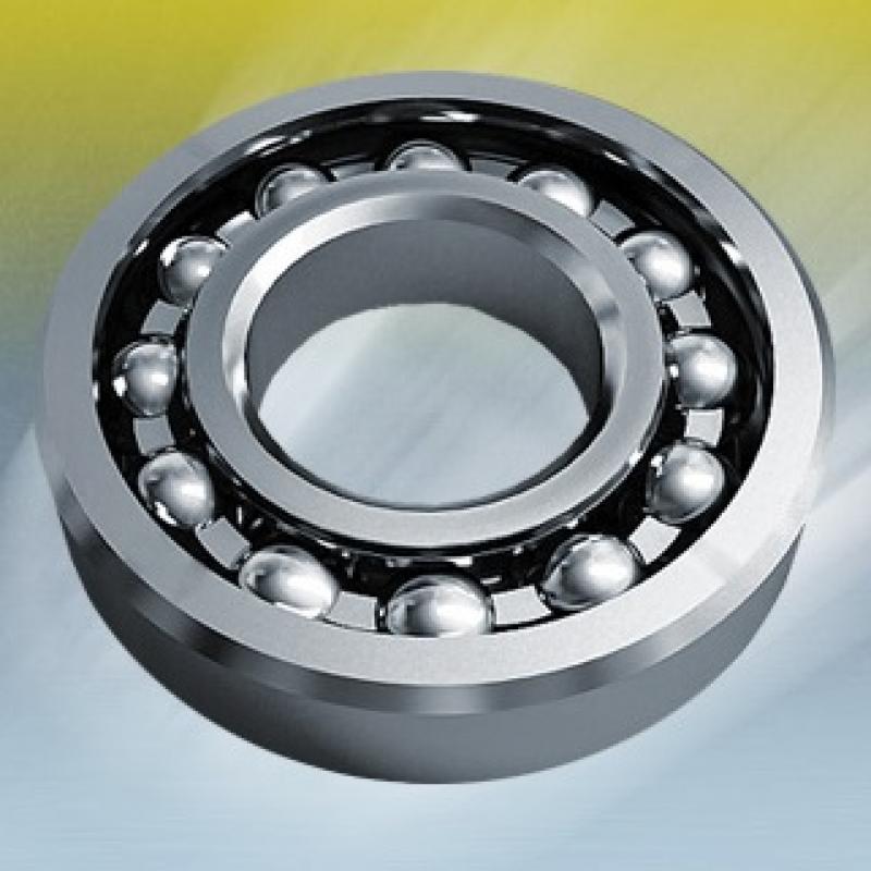 Bearing Steel Balls buy wholesale - company ООО «Европодшипник» | Belarus