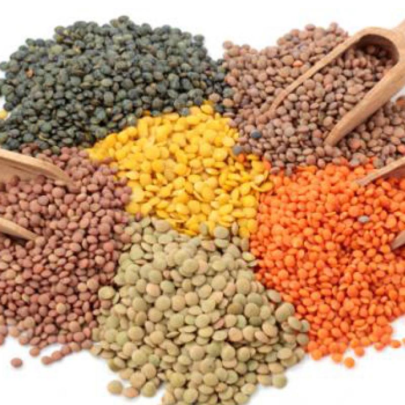 Grains buy wholesale - company Nile Herbal Co | Egypt