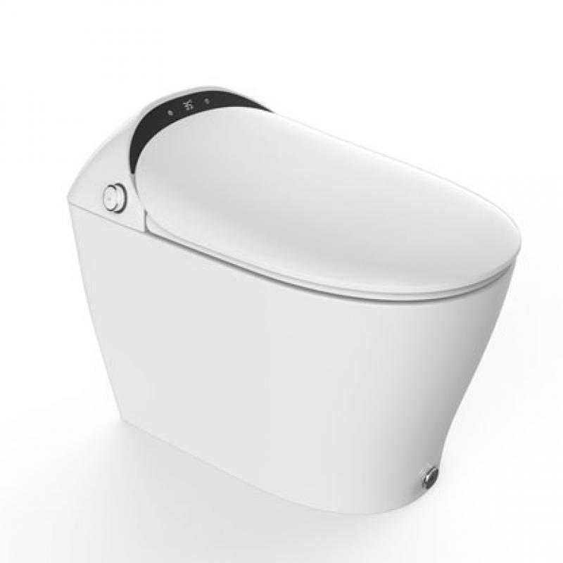 HDE7001T Smart Toilets buy wholesale - company Huida Sanitary Ware Co.,Ltd. | China