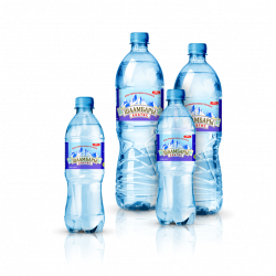 Shaambara Healing Mineral Water  buy on the wholesale