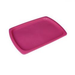 Plastic Trays  buy on the wholesale