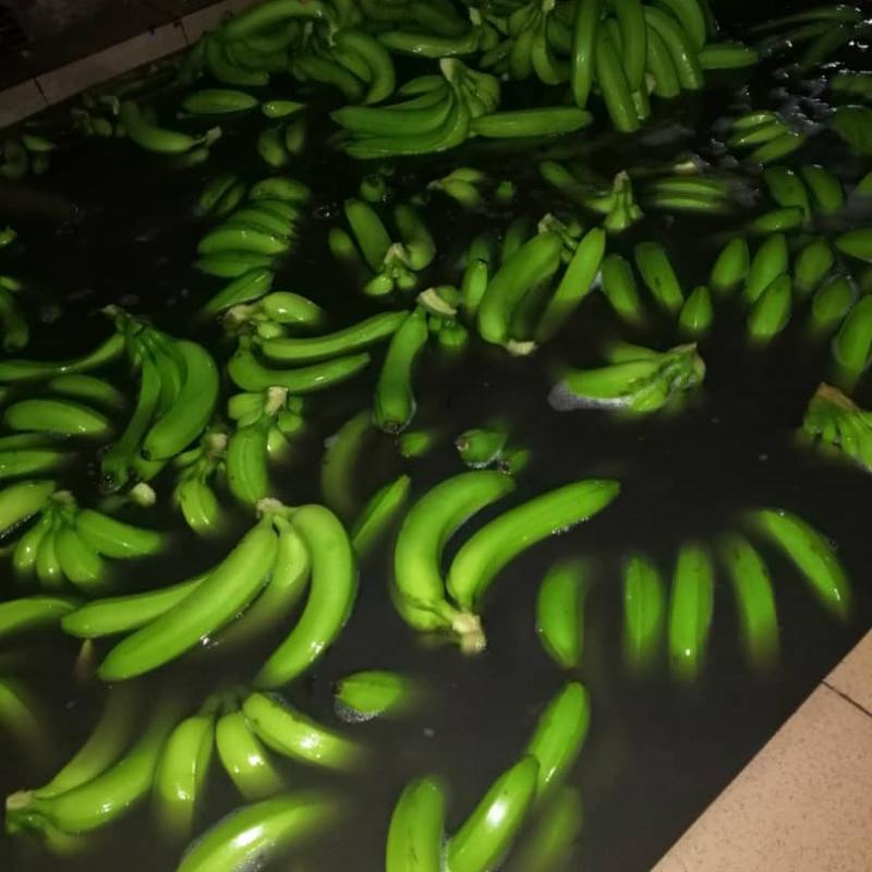 Bananas buy wholesale - company B-LABEL | Côte d'Ivoire