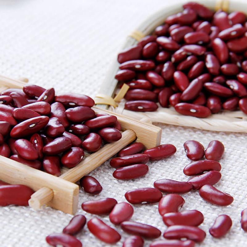 Red Beans buy wholesale - company ООО «Исфарафуд» | Tajikistan