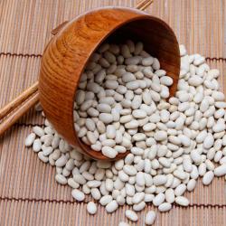 White Beans  buy on the wholesale