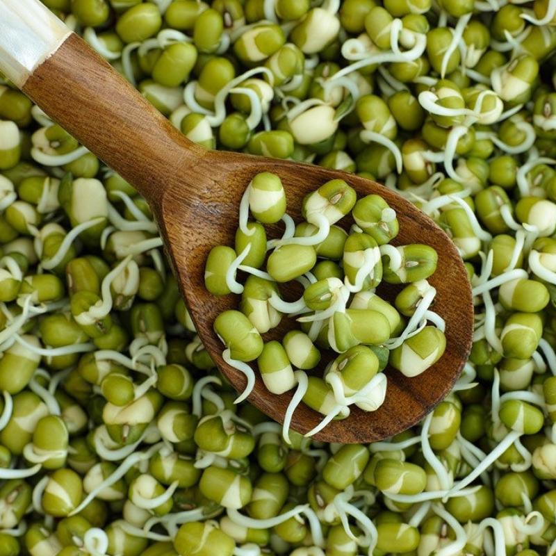 Mung Beans buy wholesale - company ООО «Исфарафуд» | Tajikistan