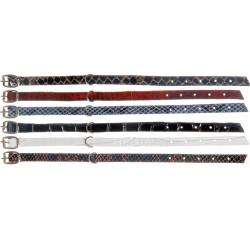 Leather Dog Collars buy on the wholesale