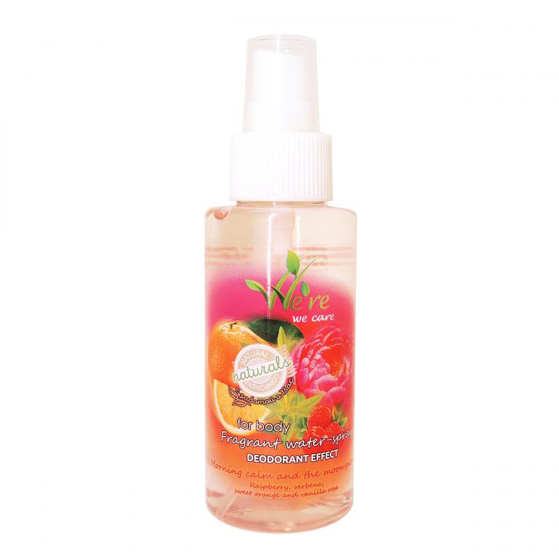 We're We Care Fragrant Water-Spray with Deodorant Effect Morning Calm and the Moon Pion 100 ml buy wholesale - company ООО 
