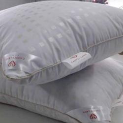 Natural Organic Pillows