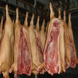 Fresh Pork Meat buy on the wholesale