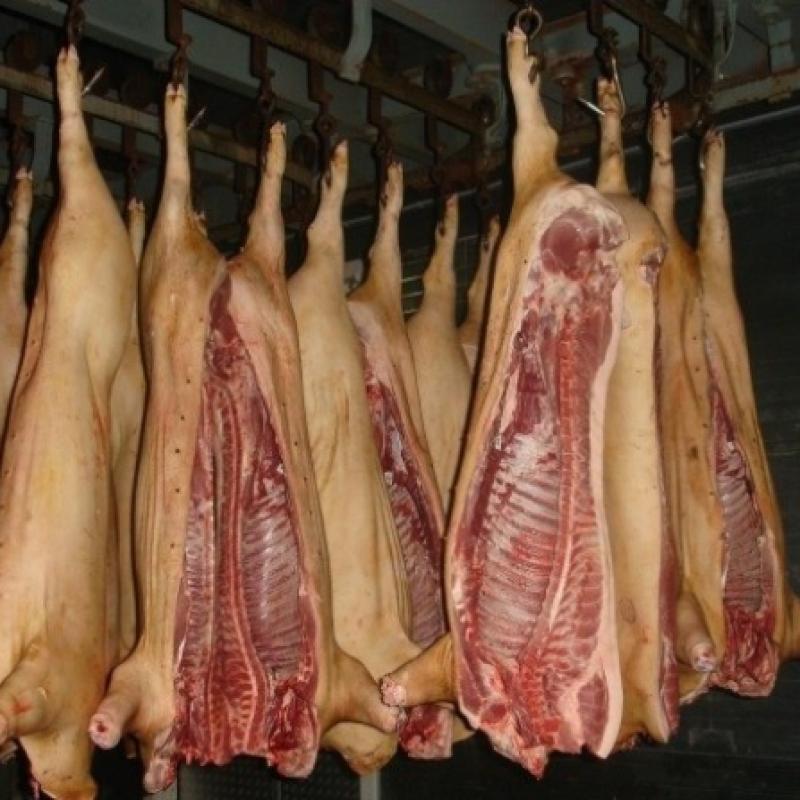 Свинина свежая купить оптом - компания ТОО АПК «Волынский» | Казахстан