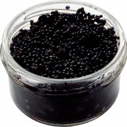 Caviar buy on the wholesale