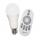 Dimmable LED Light Bulbs buy wholesale - company Zhongshan Nightbull Lighting Technology Co.,Ltd | China