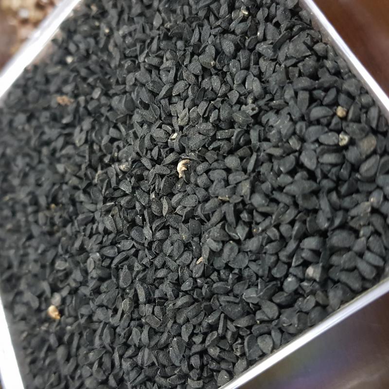 Black Cumin Seeds (Nigella Sativa) buy wholesale - company YSO - YAHIA SAYED OMAR ( IMP & EXP ) | Ethiopia