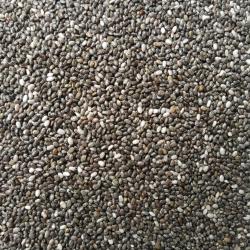 Chia Seeds  buy on the wholesale