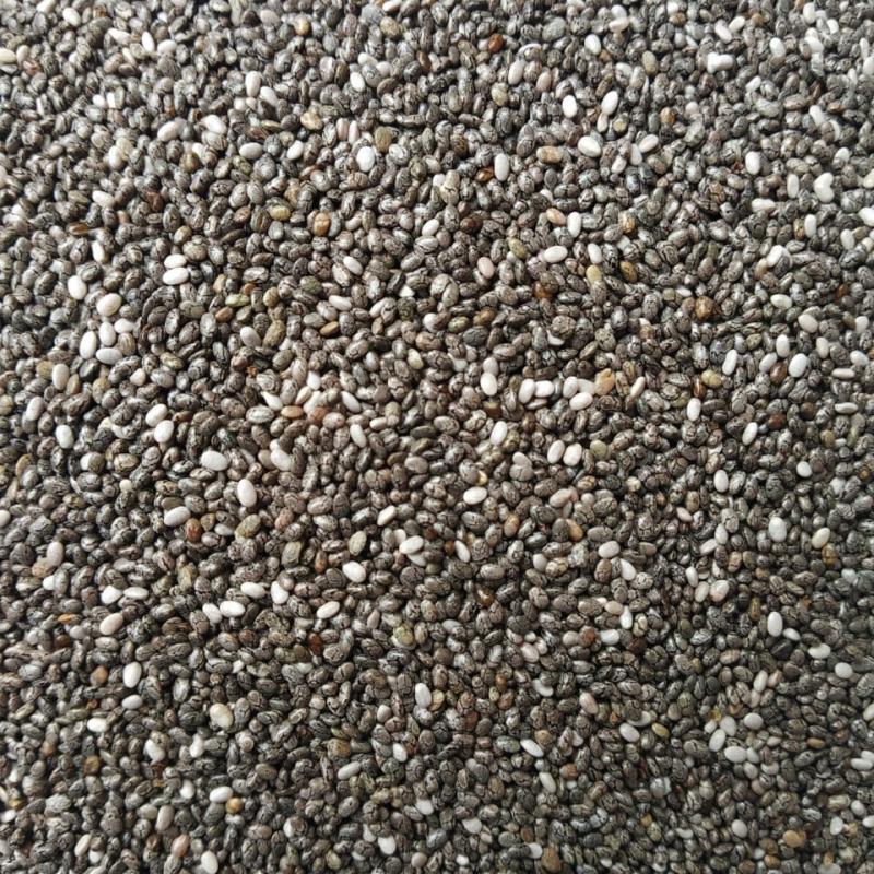 Chia Seeds  buy wholesale - company Red bass | India