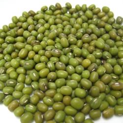 Green Mung Beans buy on the wholesale