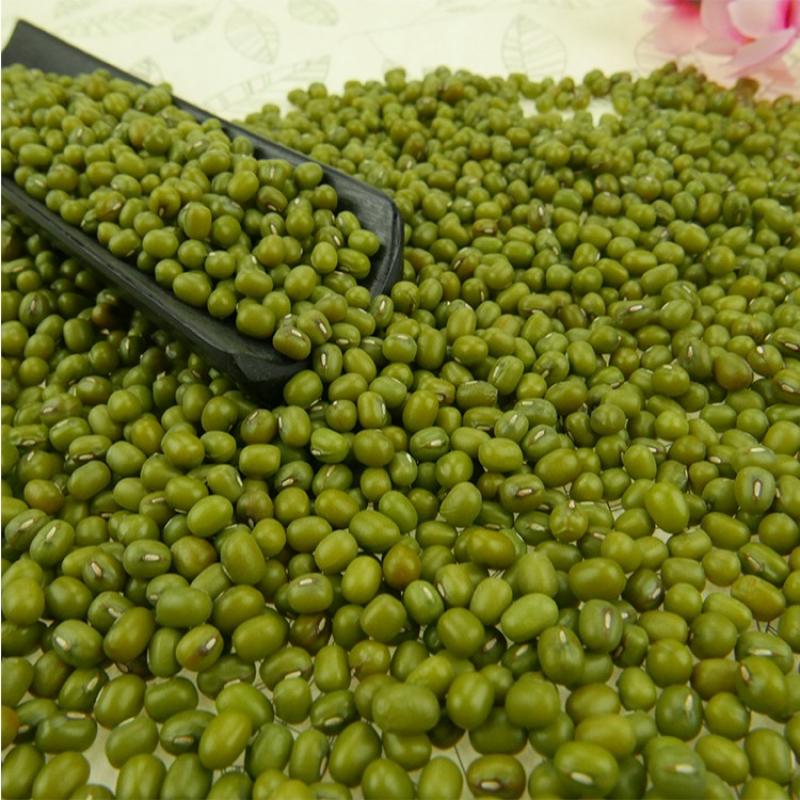 Green Mung Beans buy wholesale - company Chust O'rikzor | Uzbekistan