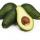 Hass Avocado buy wholesale - company Hojas Verde Global | United States of America