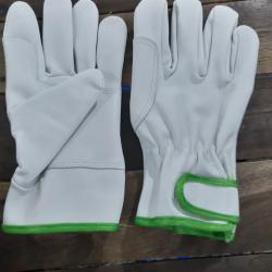 Gloves buy on the wholesale