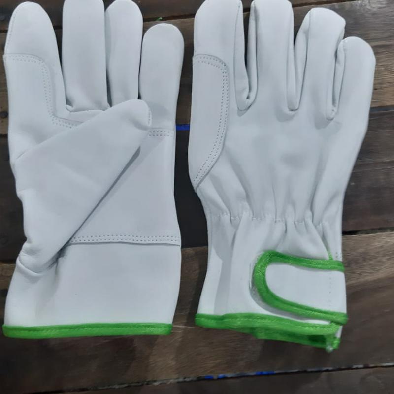 Gloves buy wholesale - company Numc | Pakistan