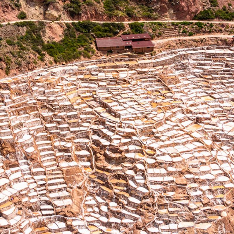 Pink Salt buy wholesale - company PeruAndeanFoods | Peru