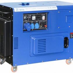 Diesel Generator TSS SDG 10000EHS buy on the wholesale