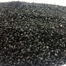 Basil Seeds buy on the wholesale