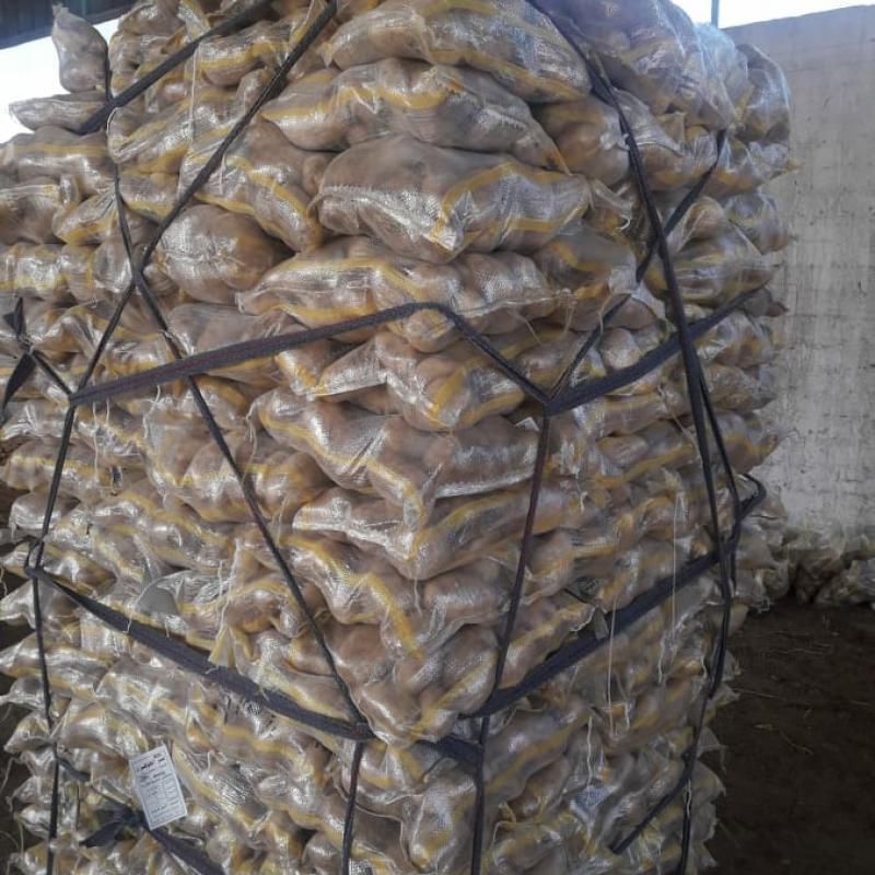 Potatoes buy wholesale - company Arkan Taiba company | Egypt