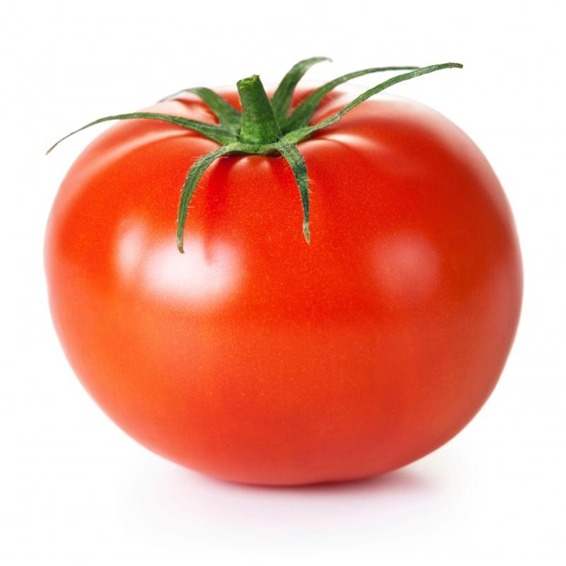 Tomatoes buy wholesale - company Arkan Taiba company | Egypt