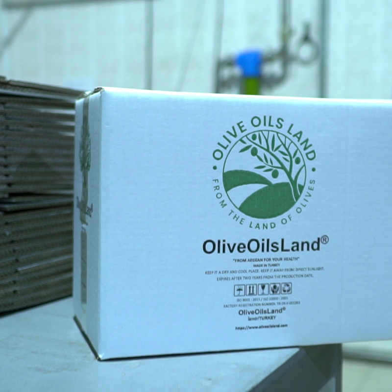 Pomace Olive Oil  buy wholesale - company OliveOilsLand | Turkey