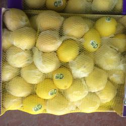 Свежие лимоны купить оптом