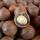 Macadamia Nuts buy wholesale - company agro machents | Kenya