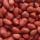 Peanuts (Groundnuts) buy wholesale - company agro machents | Kenya