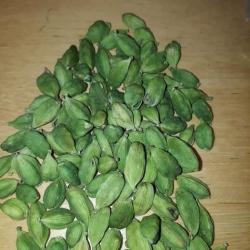 Green Cardamom buy on the wholesale