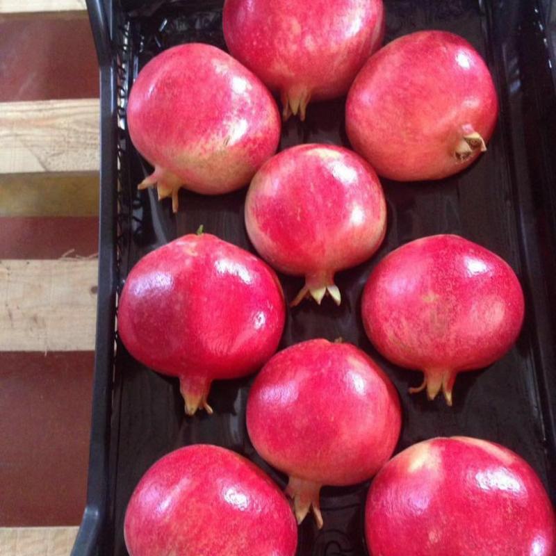 Pomegranates buy wholesale - company Ayse food | Turkey