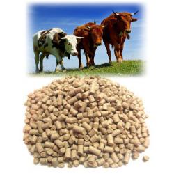 KD-K-1 Compound Cattle Feed 