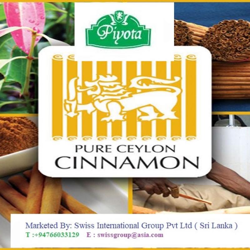 Ceylon Cinnamon  buy wholesale - company Swiss International Group Pvt ltd | Sri Lanka
