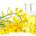 High-Quality Cooking Refinery Rapeseed Vegetable Canola Oil  buy wholesale - company ИП 