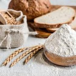 High-Quality Whole Wheat Flour  buy on the wholesale