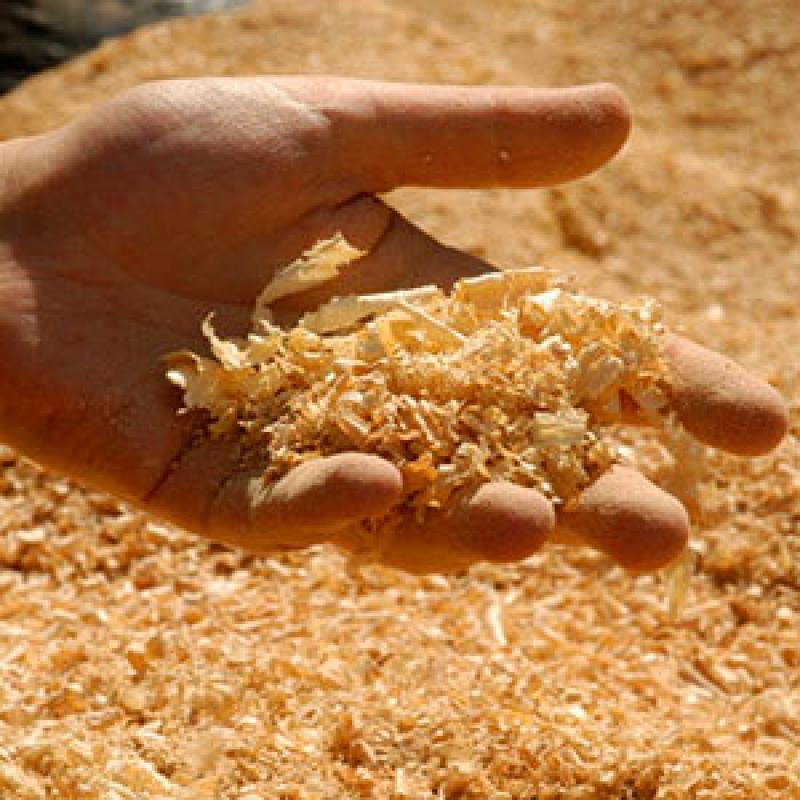 High-Quality Horse Bedding Shavings Wood Chips  buy wholesale - company ИП 