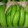 Bananas buy wholesale - company Magare Narayan Babulal | India