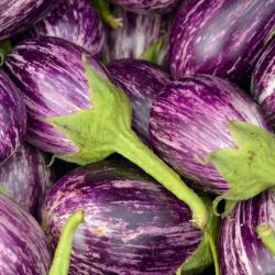 Eggplants (Brinjal)
