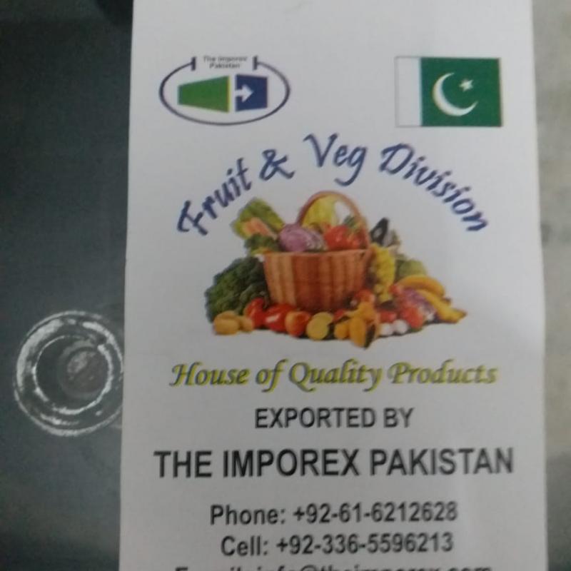 Картофель (картошка) купить оптом - компания The Imporex Pakistan | Пакистан