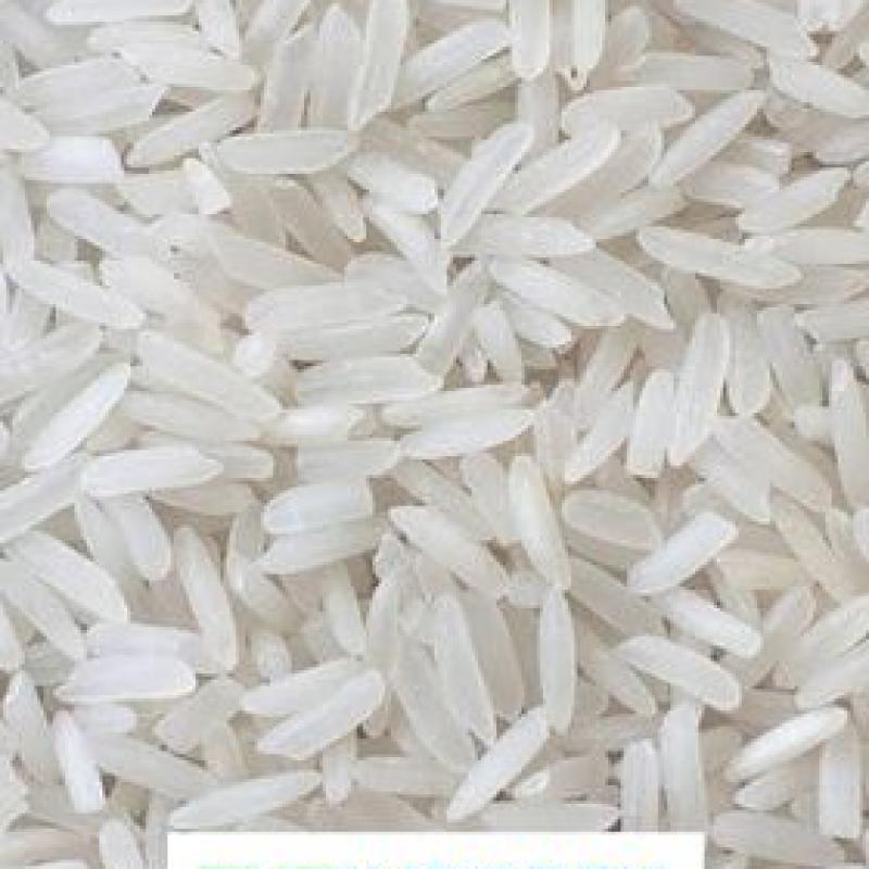 Rice buy wholesale - company The Imporex Pakistan | Pakistan