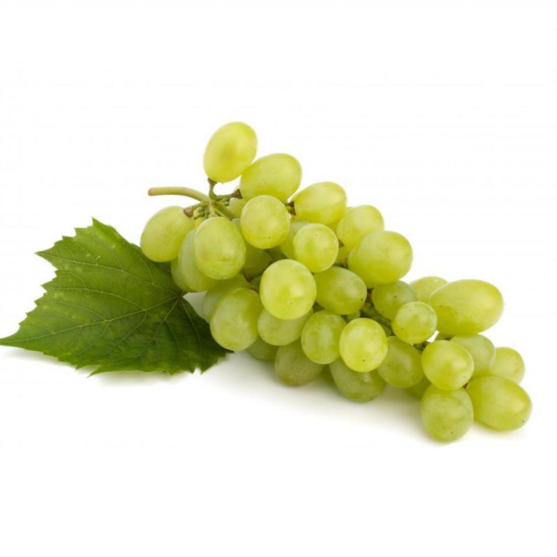 Fresh Grapes buy wholesale - company Superlative Enterprises | India