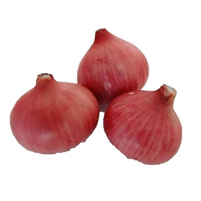 Red Onions buy wholesale - company Superlative Enterprises | India