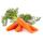 Fresh Carrots buy wholesale - company Superlative Enterprises | India