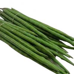 Fresh Drumsticks buy on the wholesale