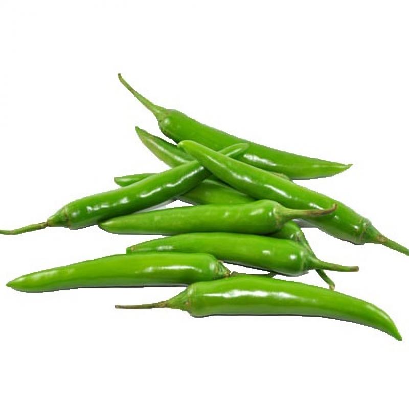 Fresh Green Chilli buy wholesale - company Superlative Enterprises | India